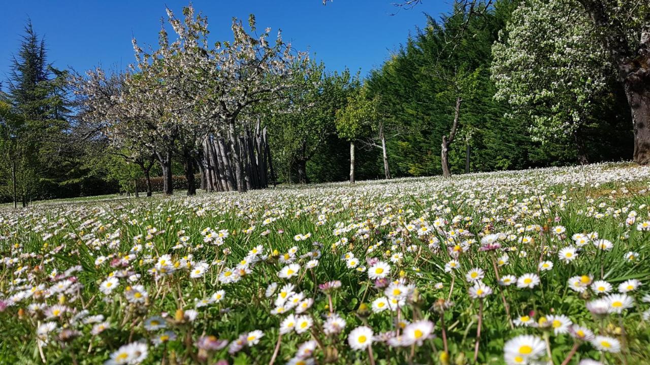 Domaine De La Brette Villa Condom Buitenkant foto